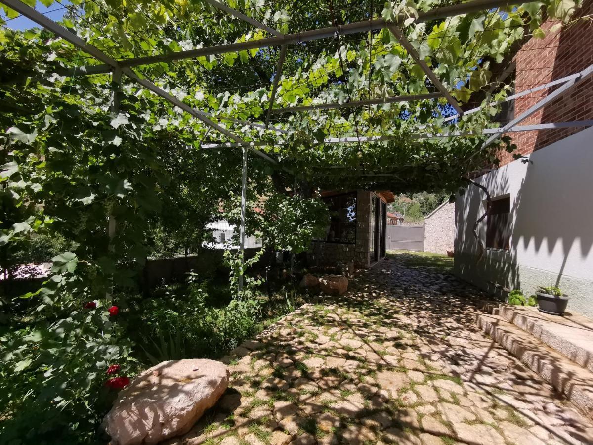 VILA RIRA - Rrajcë, Shebenik Perrenjas Bagian luar foto
