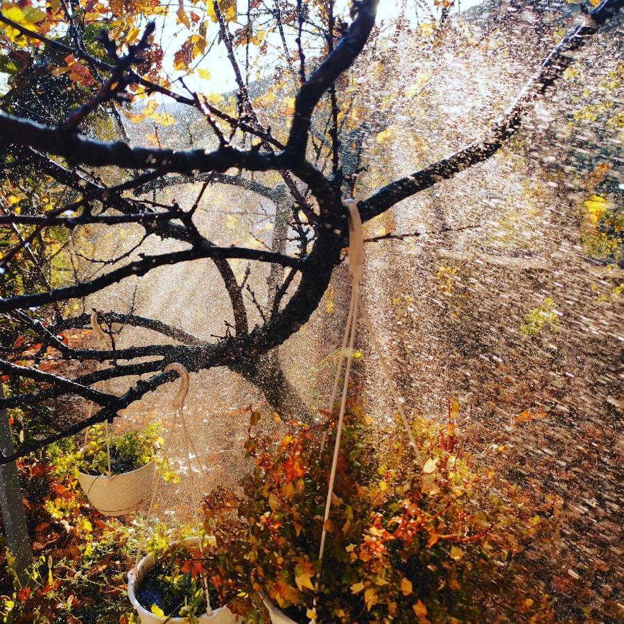 VILA RIRA - Rrajcë, Shebenik Perrenjas Bagian luar foto