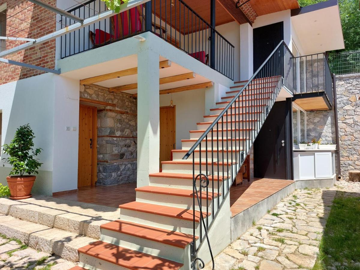 VILA RIRA - Rrajcë, Shebenik Perrenjas Bagian luar foto